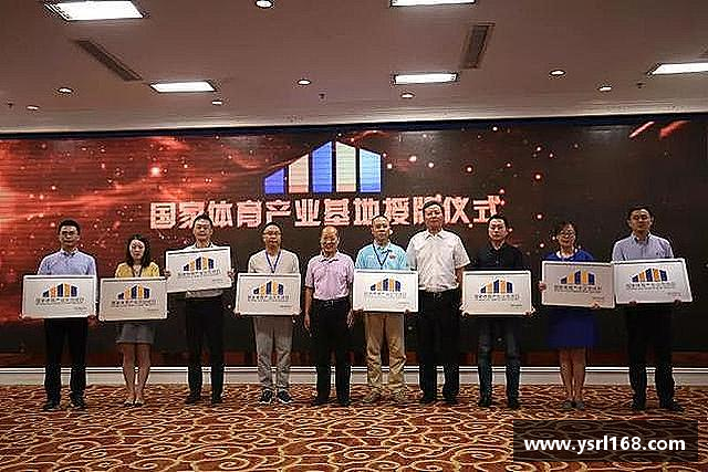 发现333体育